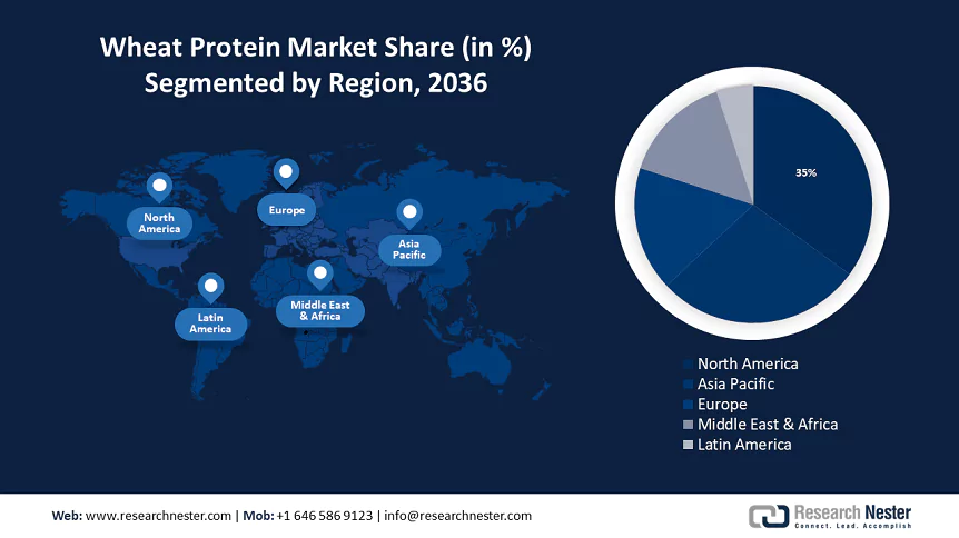 Wheat Protein Market Size